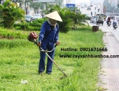 Cắt cỏ tại Biên Hòa