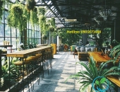 Thi công quán cà phê tại Biên Hòa