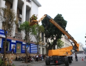 Dịch vụ cưa cắt cây xanh tại Biên Hòa