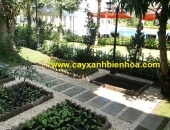 Thi công vườn rau sạch tại Biên Hòa